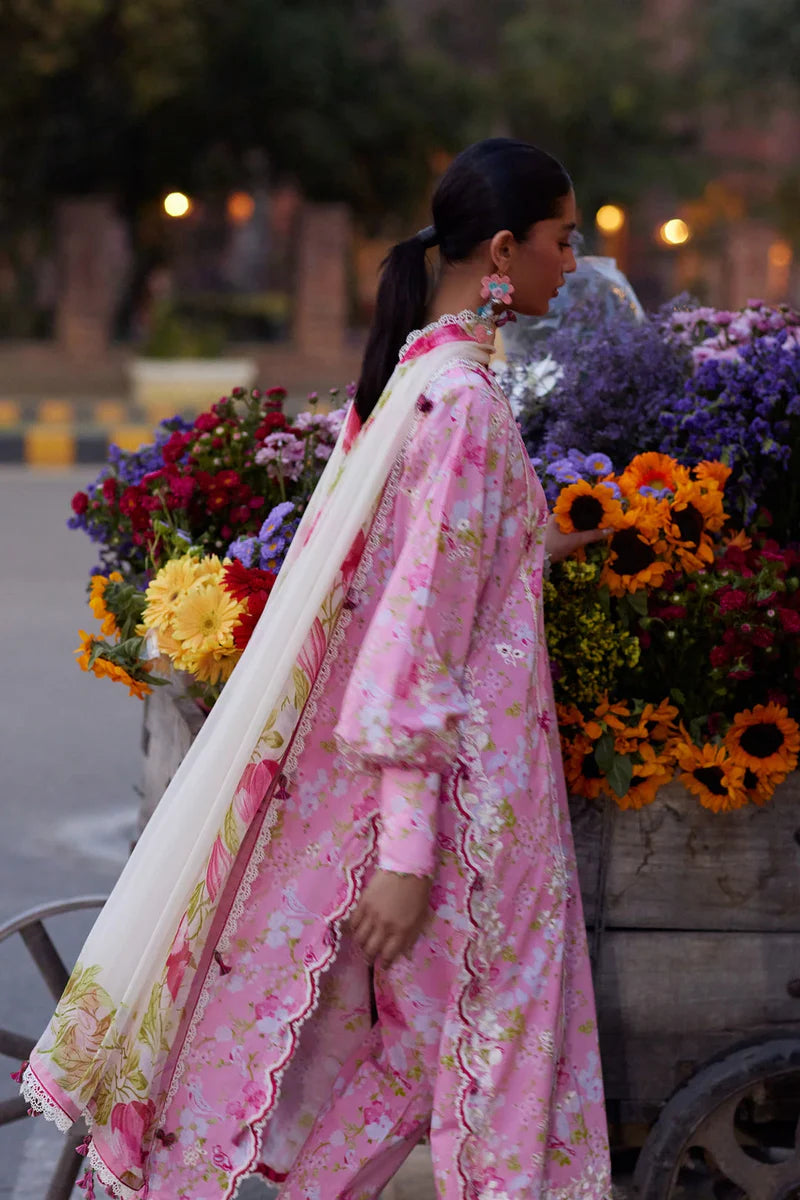 Festive Lawn '26 - Peony Reverie (ZF26-03)