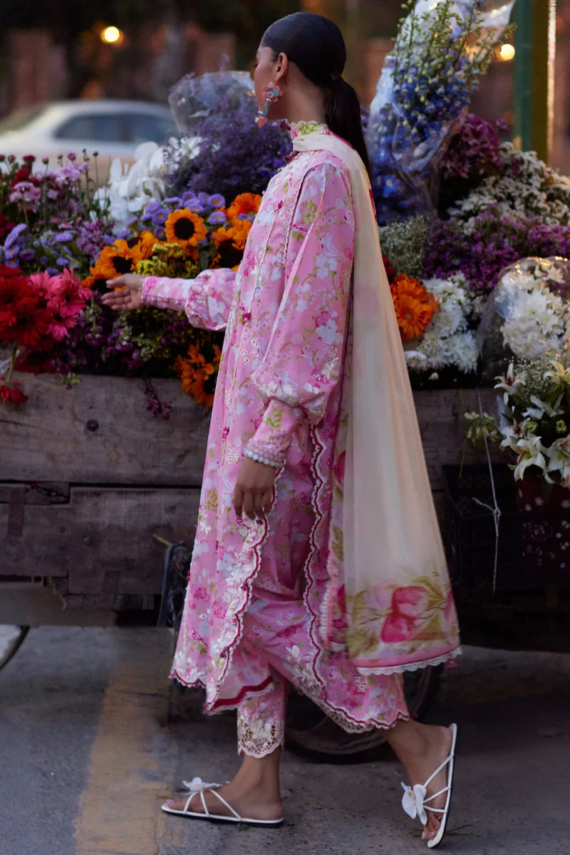 Festive Lawn '26 - Peony Reverie (ZF26-03)